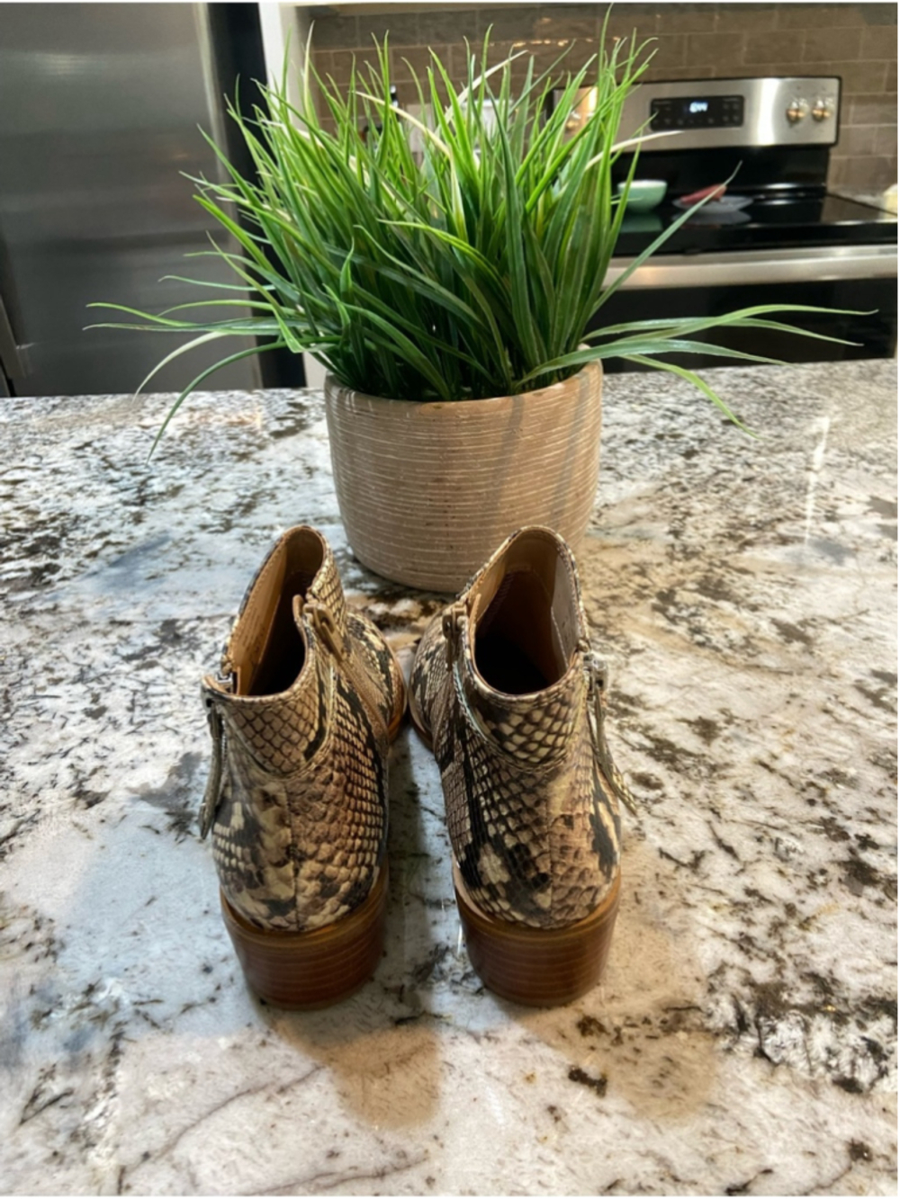 Aldo Snake-Print Ankle Boots in Neutral Tones - Picture 4 of 6